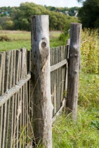 Building Fences Image